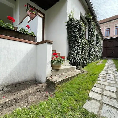 Leon Lomnice nad Lužnicí